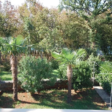 Ferienwohnung Fuer 4 Personen Ca 50 Qm In Njivice, Kvarner Bucht Krk - B58750 * נייביצה